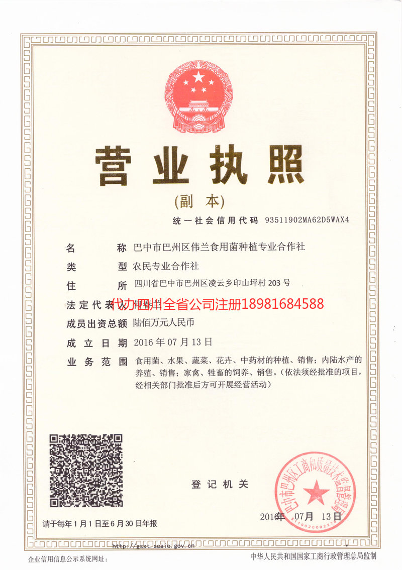 宣威宣威伟兰食用菌种植专业合作社